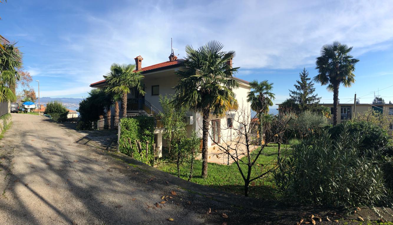 Mohorovicic Vilma 01
