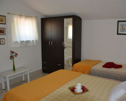 Peric Aljoska (10)
