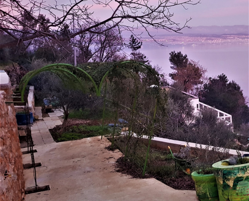 Roncevic Kata Marys Garden (10)