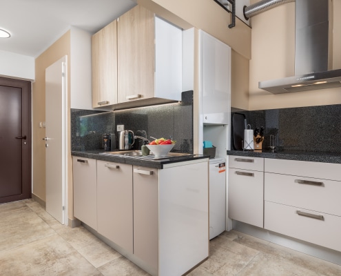 Antolovic Crnec Stefanija Apartman Marino Lovran New (9)
