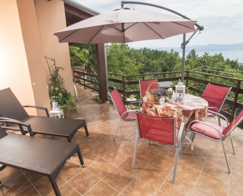 Druzeta Zorka Apartman Alba Medveja (11)