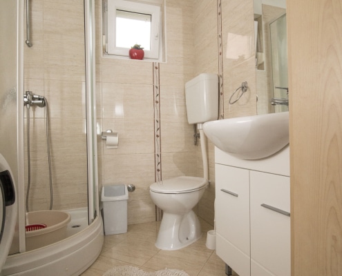 Druzeta Zorka Apartman Alba Medveja (13)