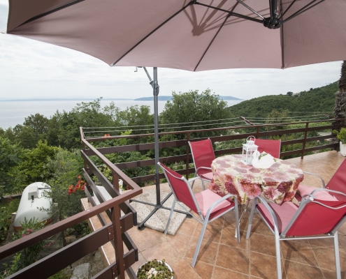 Druzeta Zorka Apartman Alba Medveja (3)