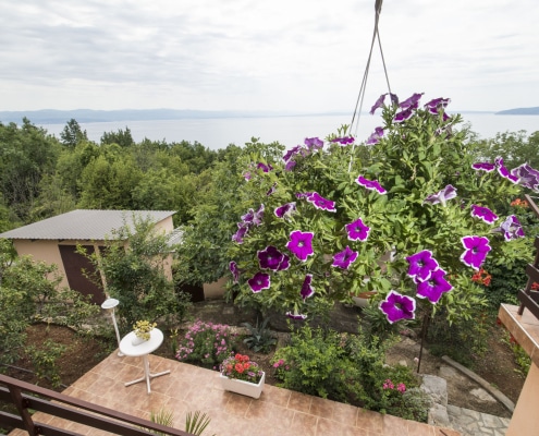 Druzeta Zorka Apartman Alba Medveja (4)