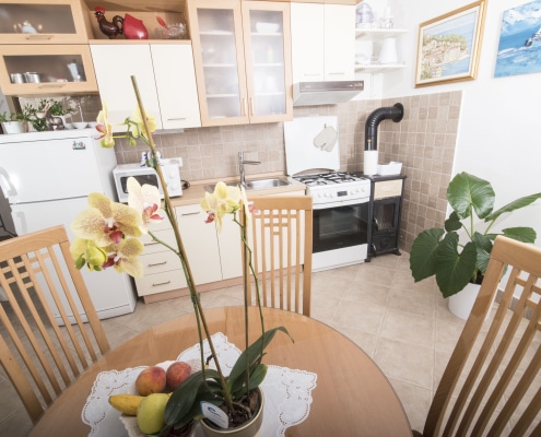 Druzeta Zorka Apartman Alba Medveja (6)