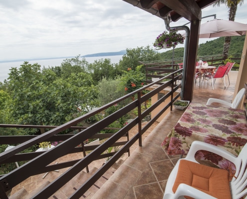 Druzeta Zorka Apartman Alba Medveja (8)