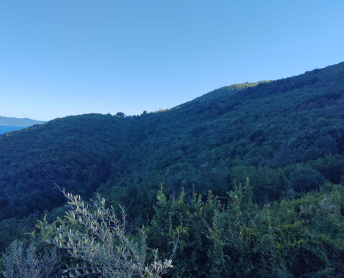 Jakačić amela lovran villa sea level (2)
